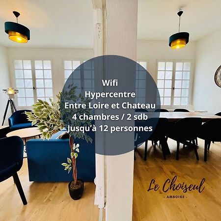 Le Choiseul - T5 Entre Loire Et Chateau Royal - Manoir De La Concorde أمبُواز المظهر الخارجي الصورة